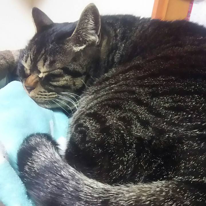 804a18dd 6dab 4179 a245 2c924990dc51