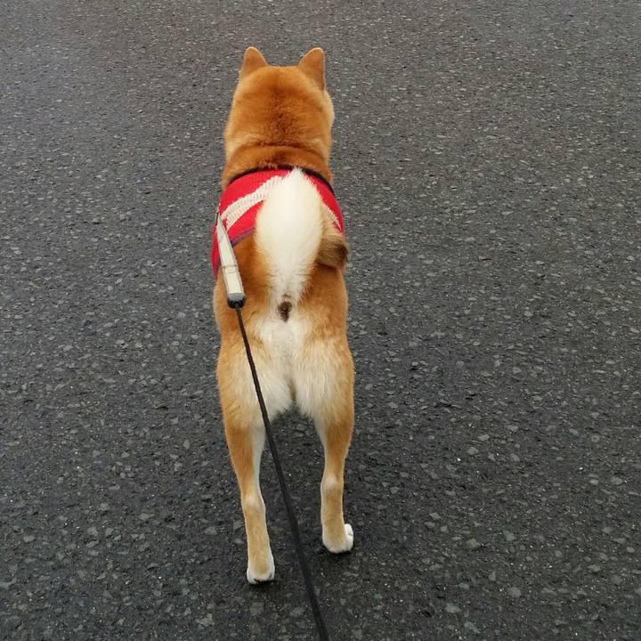 804a50da c264 4596 9848 a395174c37ea