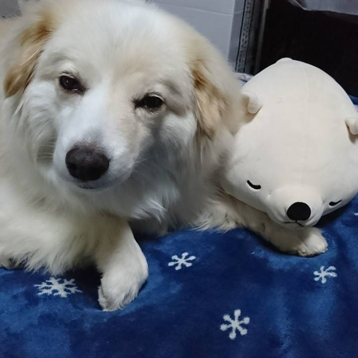 804a7f81 0c1c 4efd bfd4 bf8cbd9330c8