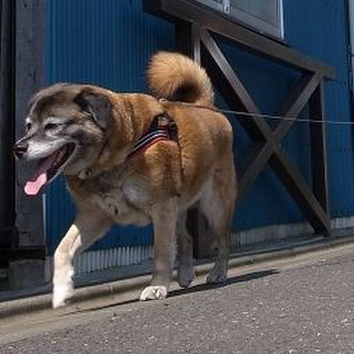 804b50e0 e67d 4997 a433 6a0c81cd694c