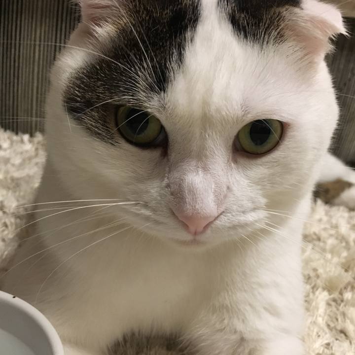 804b881b 091e 43a4 a226 9ff404ad9a53