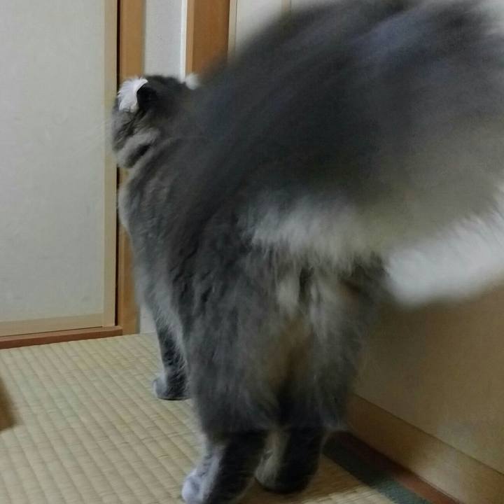 804b9ec5 e689 48b5 b5b0 3d5eba3e89a7