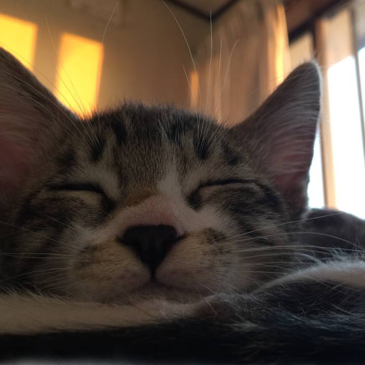 804bfaea d63e 4c22 83d6 9fb145012c6e