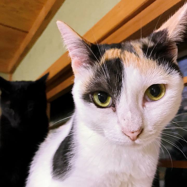 804c43a1 53ec 4919 bb47 09631da29997