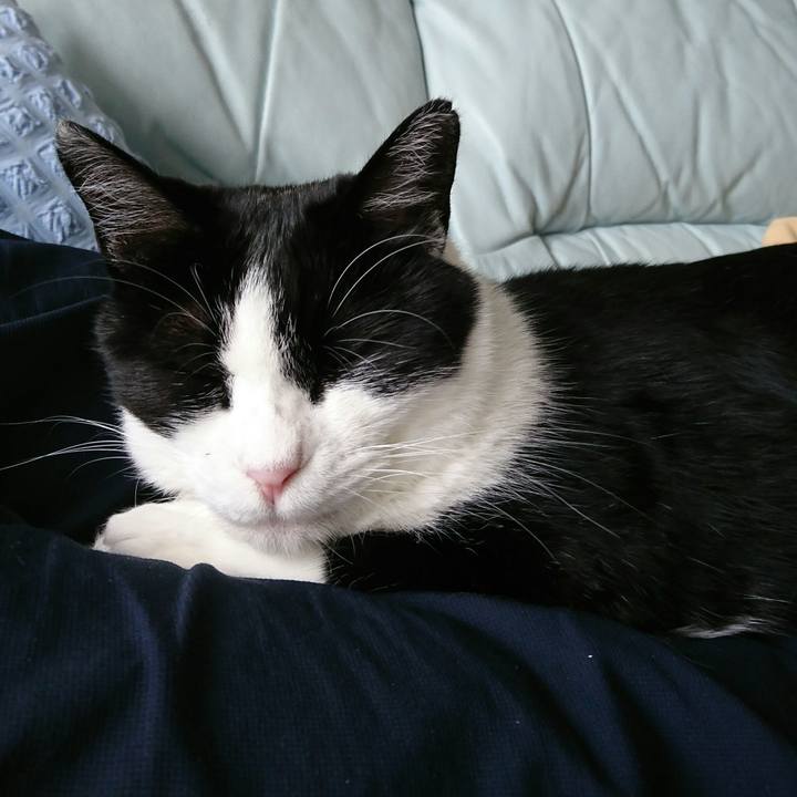 804c43cd b187 40cb 9e4c d7419c43b69c