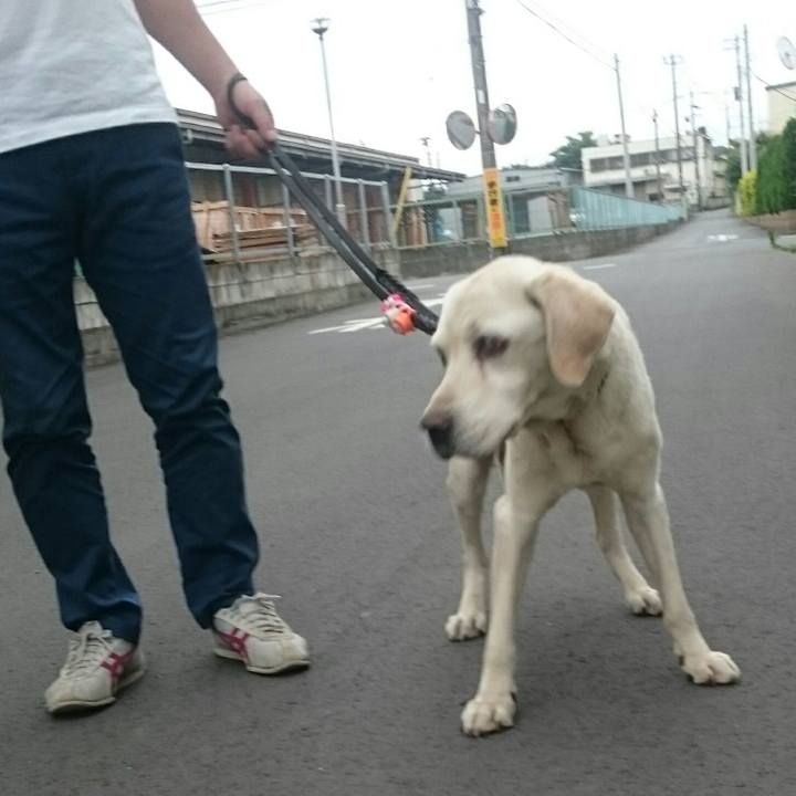 804cc7a3 3fcd 484f a5fa 9fee1ee1a480