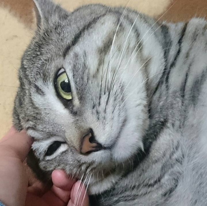 804d54fc a053 4fa7 97e6 d1619048f01b