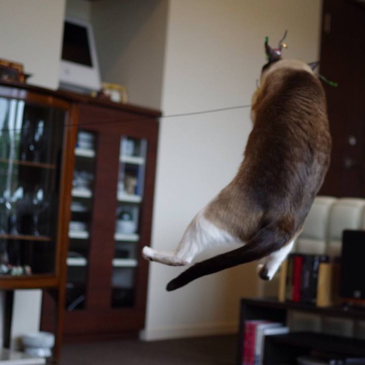 804de234 5665 4cf1 abcb e708f0253aef