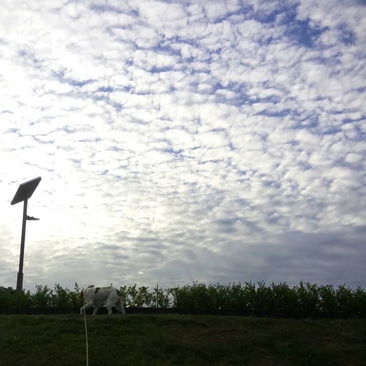 804dfdff 8ef4 4292 809b 546ac219fe22