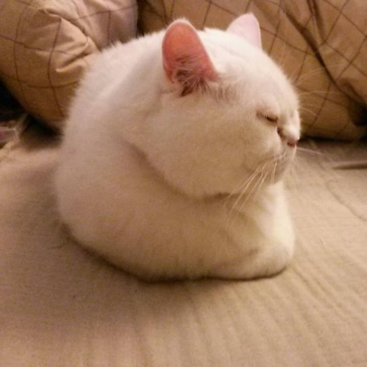 804f1ae0 b85c 4421 81f7 a0c5bd3cd53a