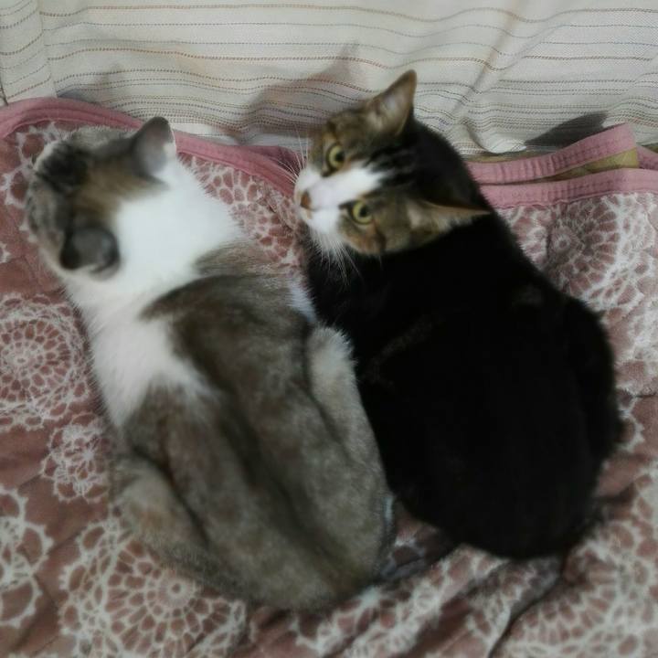 804f6a69 3fea 423a bbc3 e562b6202a32