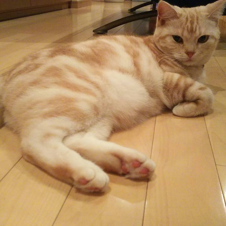 804f7ec4 7e71 4dd5 9be5 27ccbc4691fe