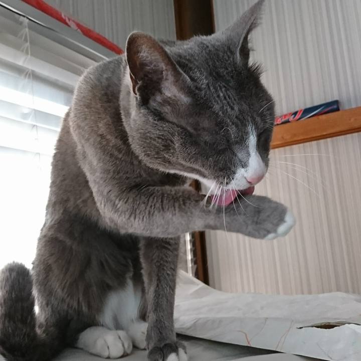 80500bfc a737 4afb af7b 437f1cd461a5