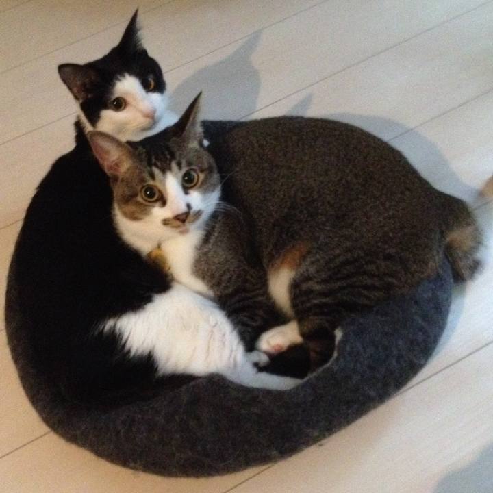 80502075 cf5d 47a0 8367 7116c301eb20