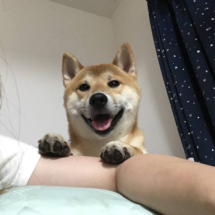 8050246f ac0b 4fcb aaae 596fc86c3383