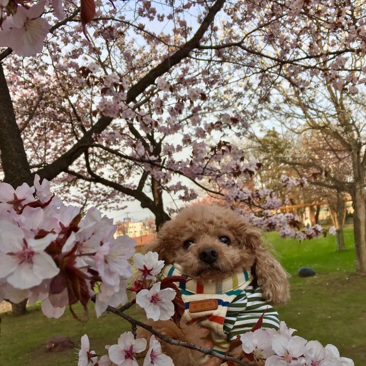 805069ce 2a84 4a62 b4f3 dda7708c5359