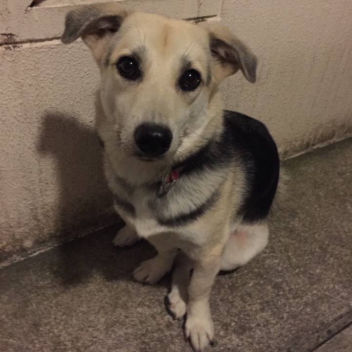 80506da7 e528 470d 9b9e 3fa9738600aa