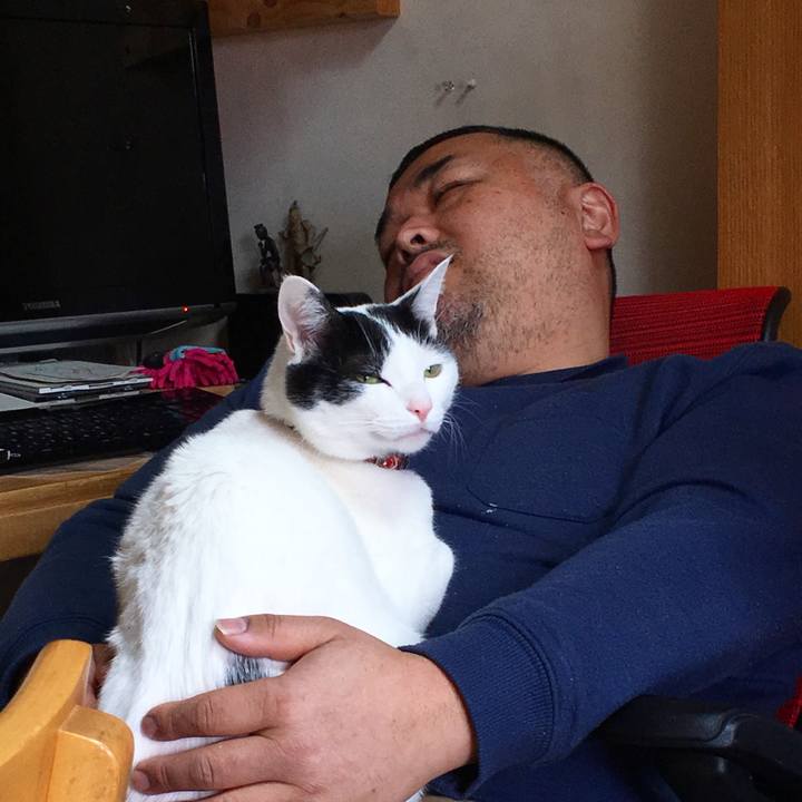 80512f5e 9e8b 49c5 abcc 769bceb6c8b9