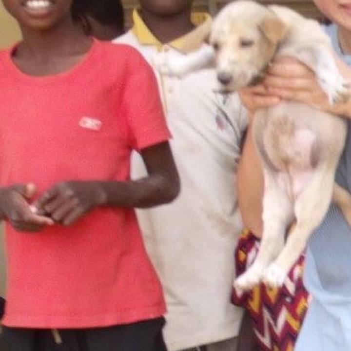 8051382c 032e 421b 9ff1 a04c92df0d80