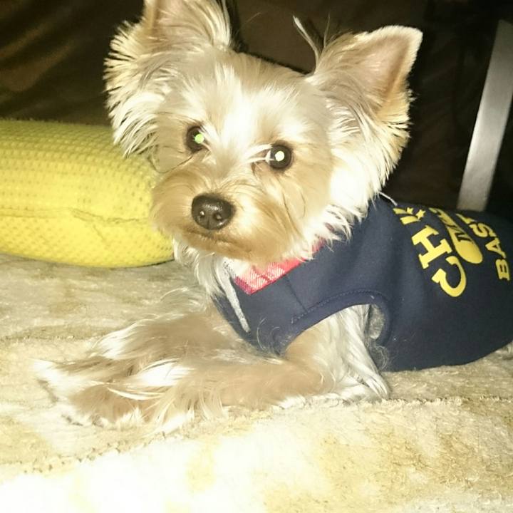 80515c8f 7465 43b4 a7e6 3bd10c7691b6