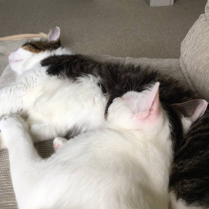 80523a35 c25c 4caf 8273 14aaebe837d4