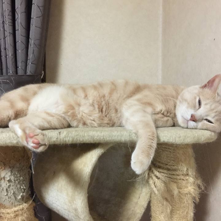 805283b3 41a2 4890 8aa0 279829ce0476