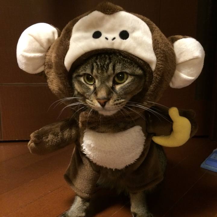 8052a317 ee23 40dc be13 5b838e1d4c7a