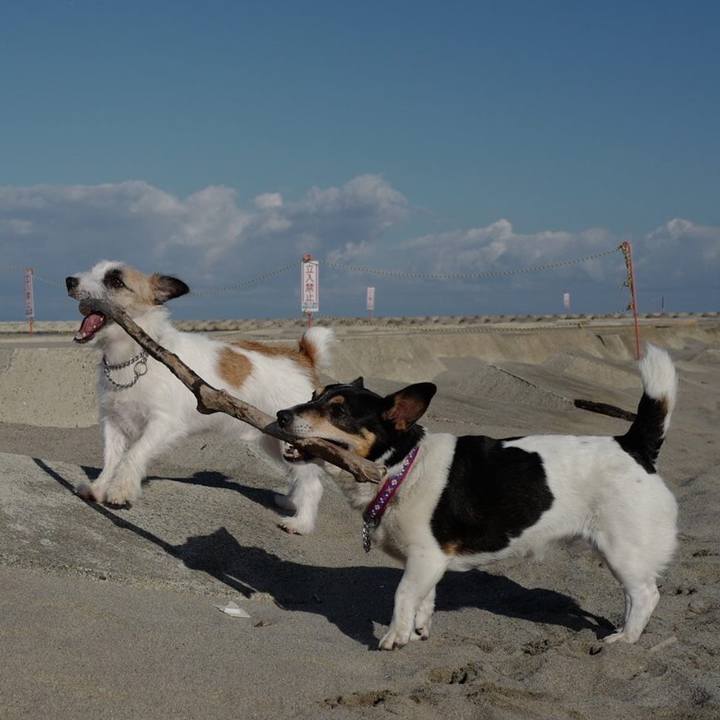 80534e9c 287e 4c7a 839b 03525cf12f5a