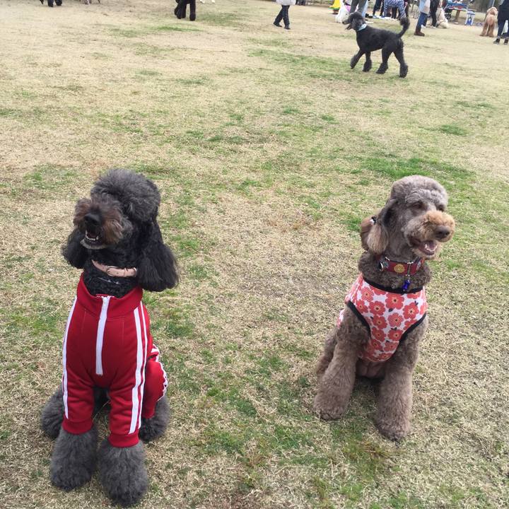 8054d162 060d 41b1 914e 38c8c1a8558a