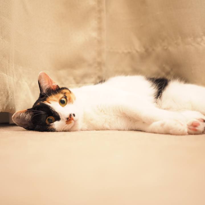 80554eac 0148 4e70 aa95 5ee3f6769a89