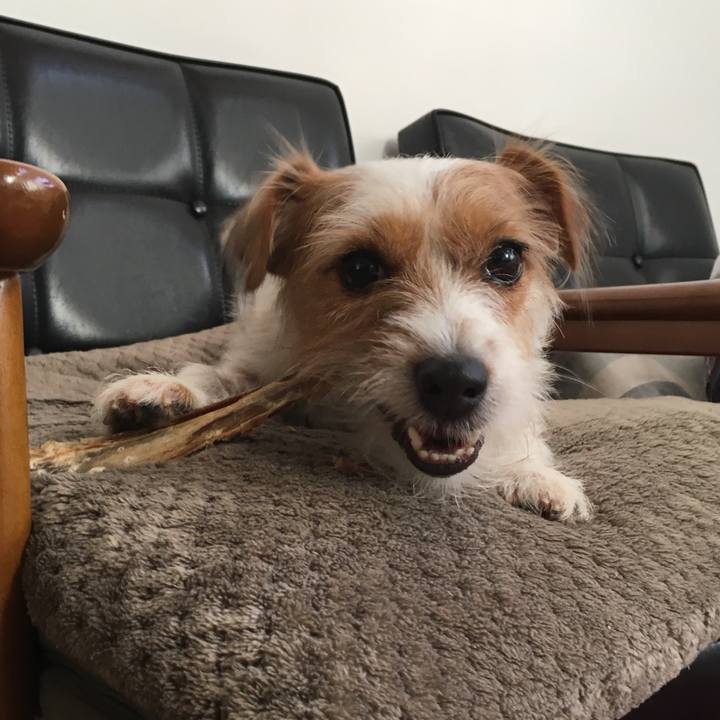 8055c5c4 341f 474b 95b9 c7264faf40d6