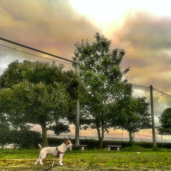 8055cf55 62c7 488d 9f74 c62dde5d8442