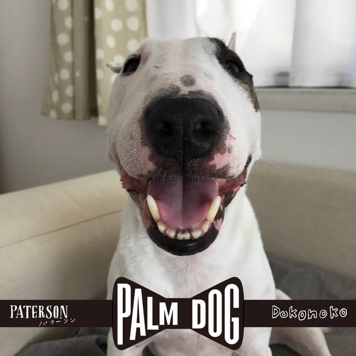 8055e1ed 2627 4012 9a28 9c3636cc1f94