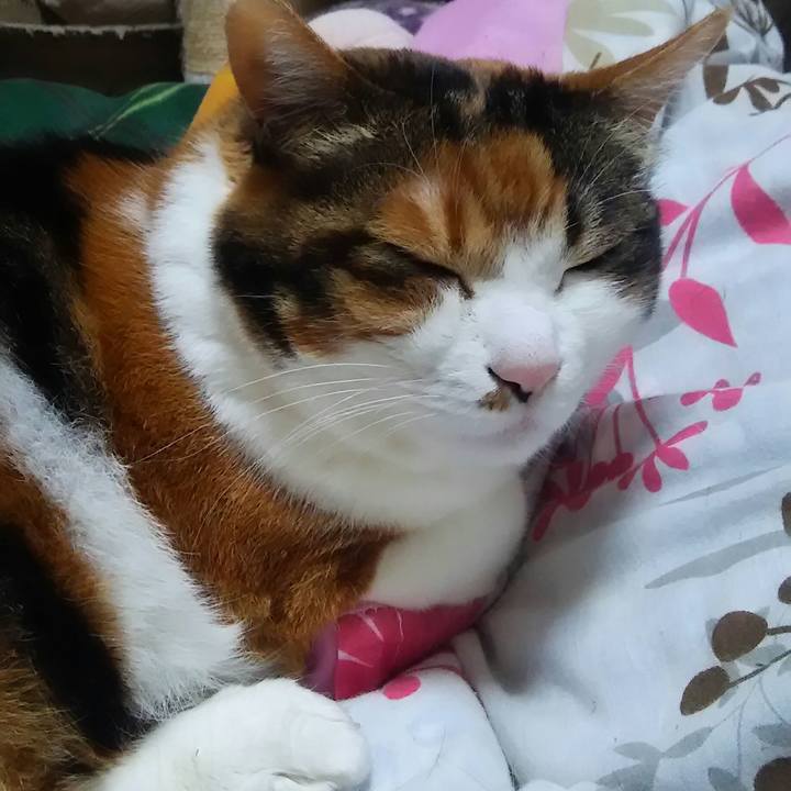 80565b3a 38d8 4f53 8408 47189d48fa4b