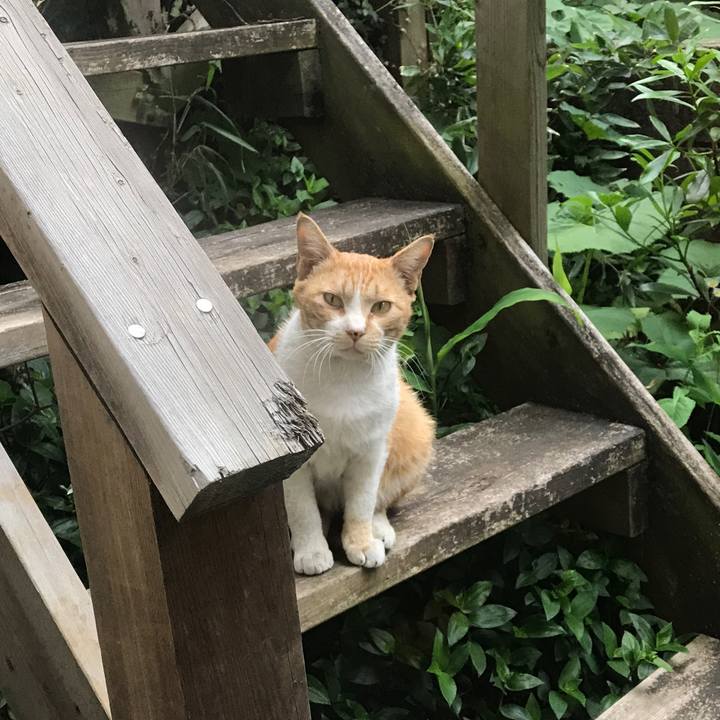 80565d74 ab6e 4929 9a31 ac9036c167e1