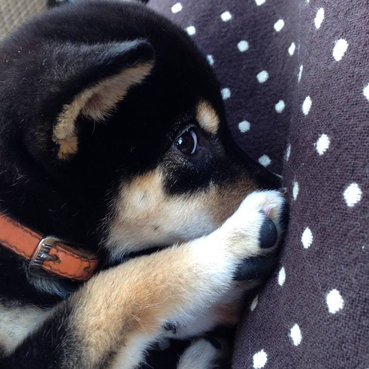 805681b5 2119 454b 9cdb 3965a8758692