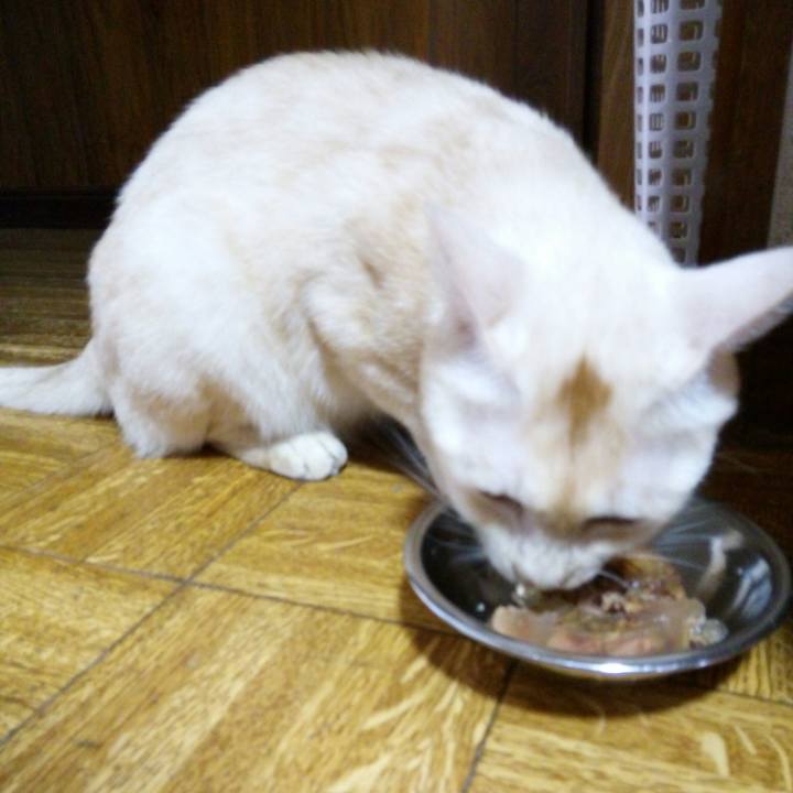 805699f6 780d 4da1 9b98 13d6d411930b