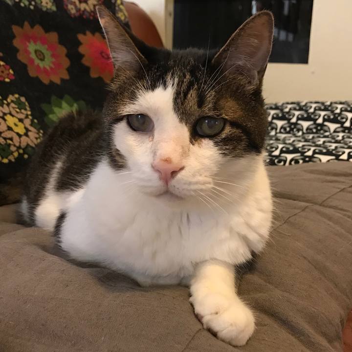 805708d8 9c0b 4367 8226 f39848e1ea9d