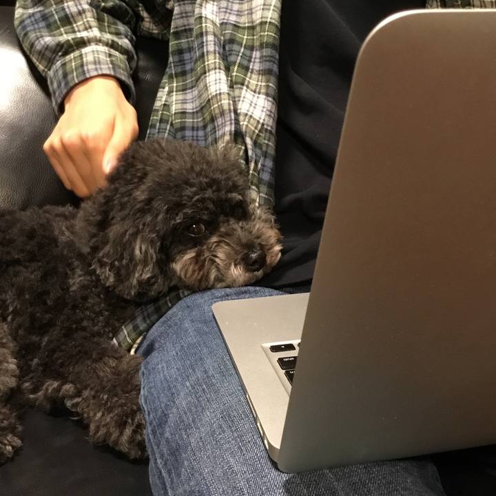 80576370 d4e4 49f6 bb96 4036354f178f