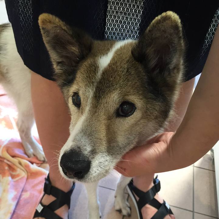 8057fb4a 68c1 4016 9b97 aa730043f3fd