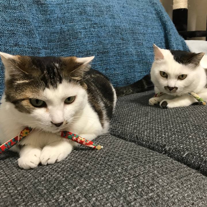 805849bd e121 4efc 99d3 c7c0f0fb9bec