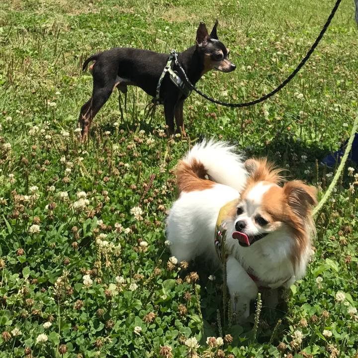 805917b2 99a0 4cf3 a35d 03c95c807476