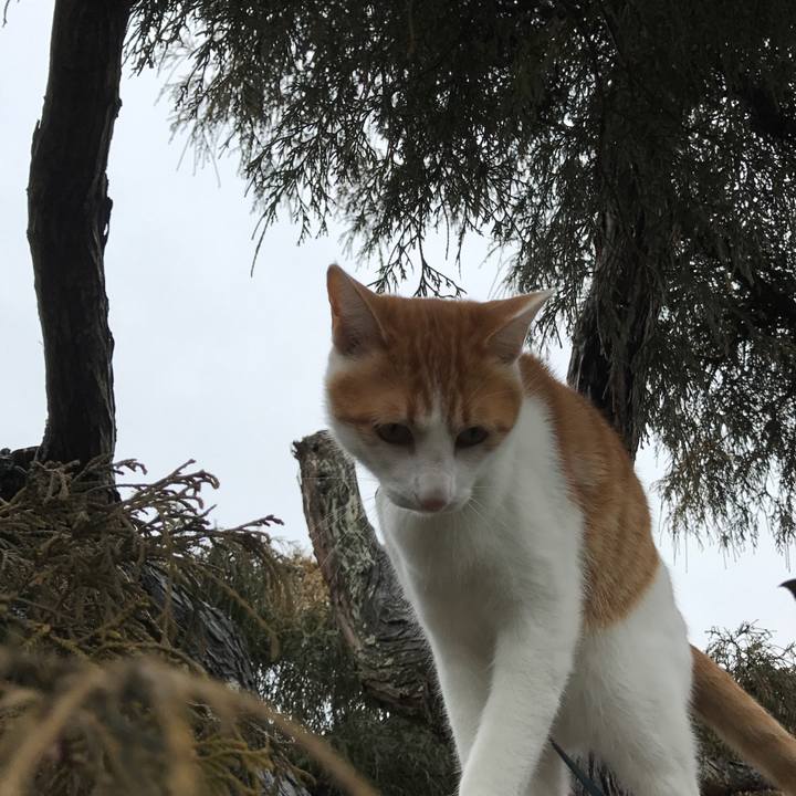 80593735 afed 4312 b807 89d93f1d9475