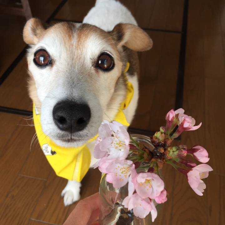 80595858 bb94 4428 a276 4b54173e19ee