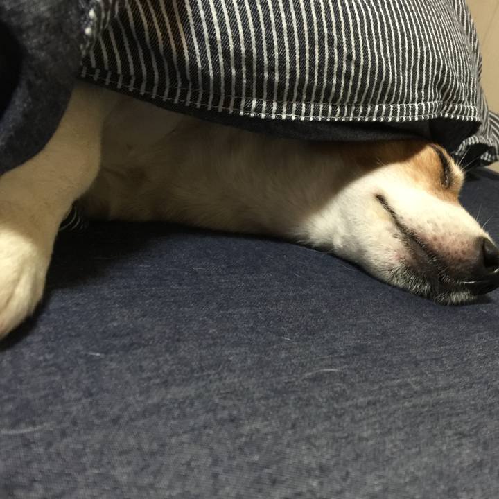 805980c1 d840 49ba 926a 5d1d5084cfb0