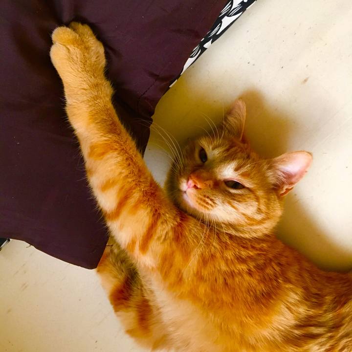 805a5fbd 4c7e 4f12 8612 24a0f36e0d38