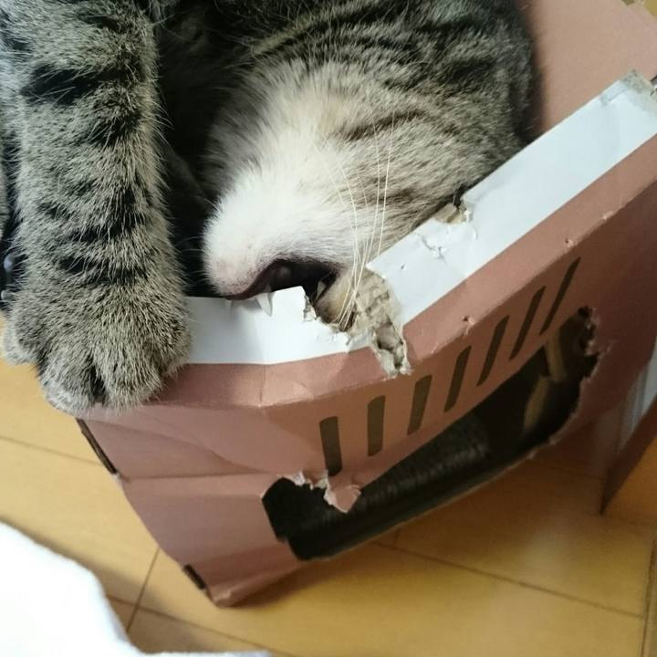 805a93a3 5d49 4da8 a9ea f56016bc9978