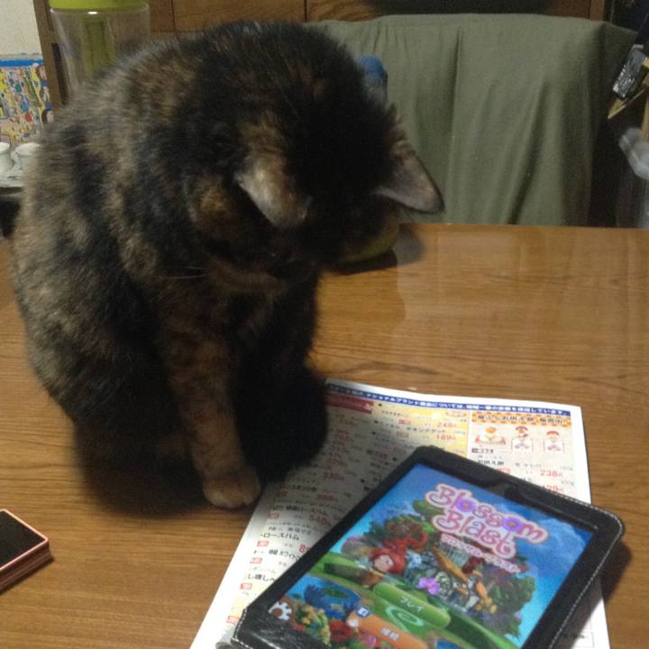 805b3adb 6163 41de ba99 c31df9ef0cb4