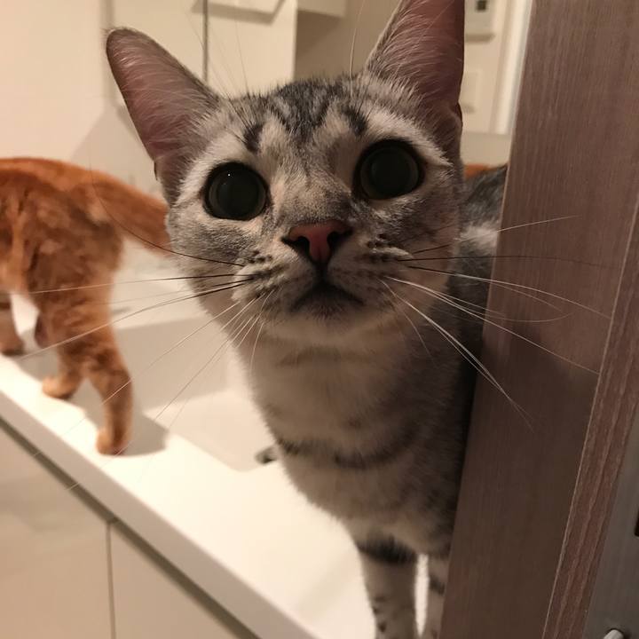 805ba32c 9534 4dd8 be22 5dcb160e8910