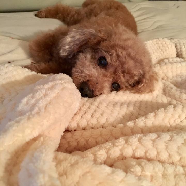 805bd569 f3be 437d a307 9f4f60ca6e3e